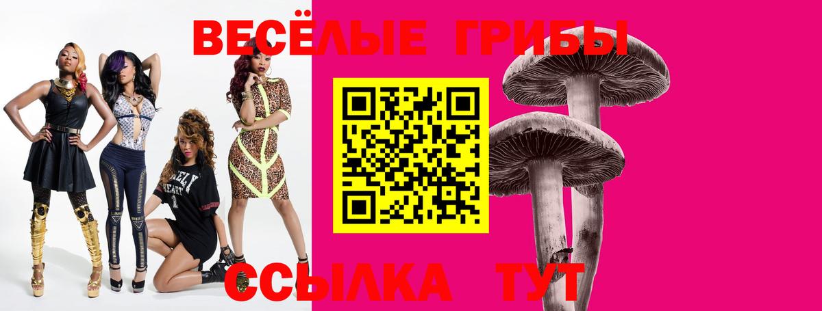 Галлюциногенные грибы Psilocybe Карабулак