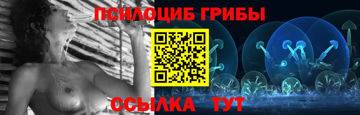 Галлюциногенные грибы мицелий  Вход с VPN  цены наркотик  Карабулак 