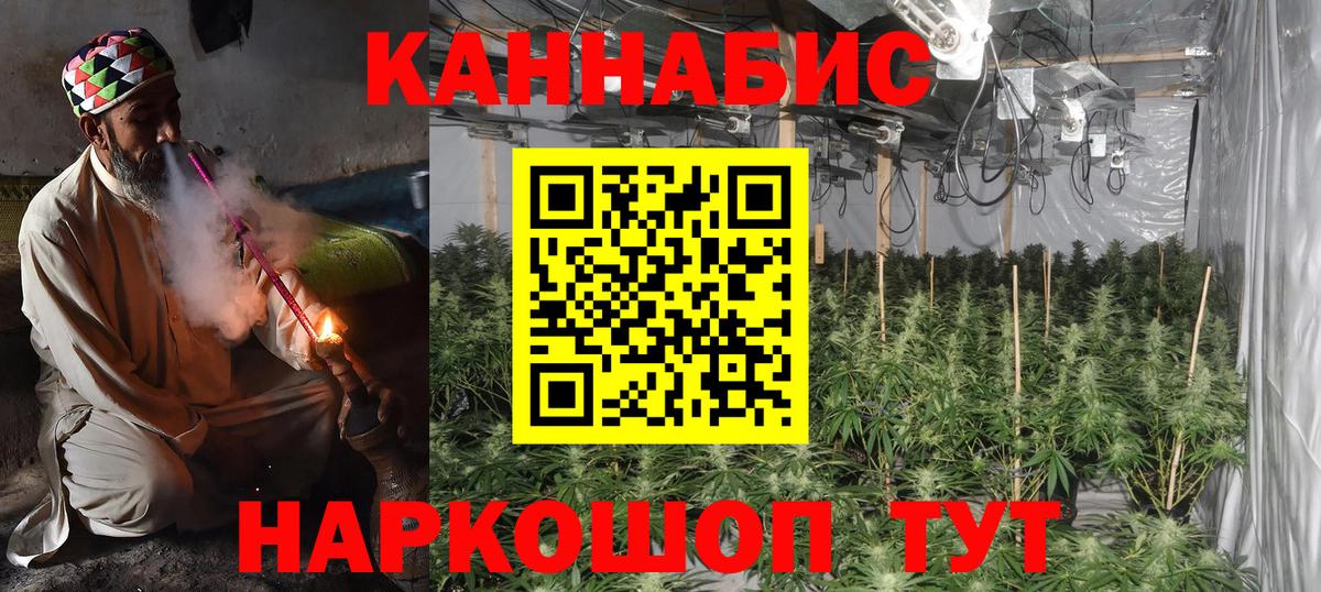 МАРИХУАНА план  Вход с VPN  Каннабис планчик  Бошки марихуана Ganja  Карабулак 